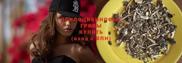 дмт Арсеньев