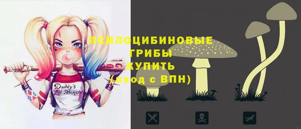 дурь Алексеевка