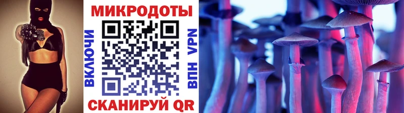 закладка  Морозовск  Галлюциногенные грибы мицелий 